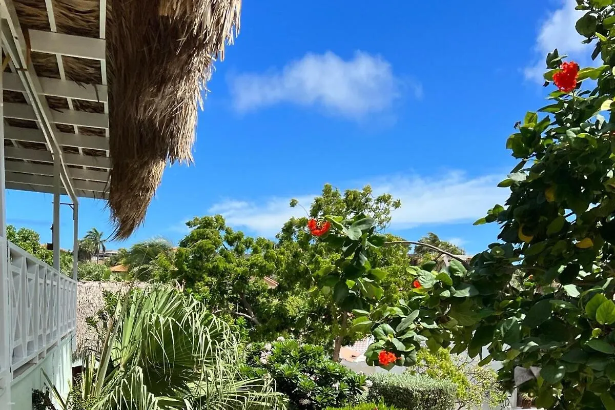 Apartament In Curacao Jan Thiel