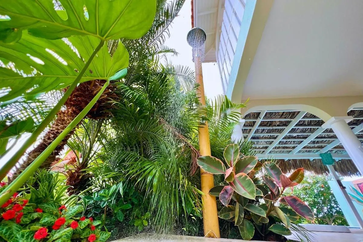 Apartament In Curacao Jan Thiel Apartment